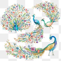 Png watercolor peacock sticker set