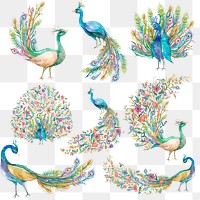 Png watercolor peacock sticker set