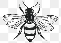Vintage bee png insect sticker linocut stencil pattern clipart
