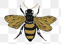 Gold bee png sticker insect vintage linocut clipart