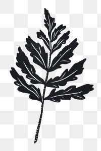 Vintage leaf png sticker black linocut stencil pattern clipart