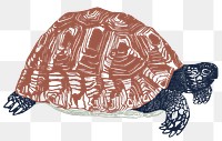 Vintage animal turtle png animal sticker colorful stencil pattern