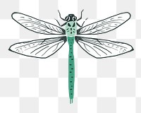 Vintage dragonfly png sticker insect stencil pattern