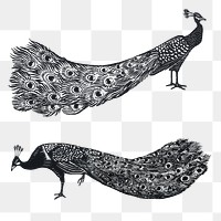 Black peacock png sticker linocut stencil pattern drawing set