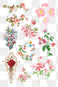Png vintage sticker colorful flowers  