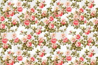 Png wild rose botanical pattern transparent background