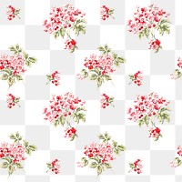 Png colorful verbena flower botanical pattern transparent background
