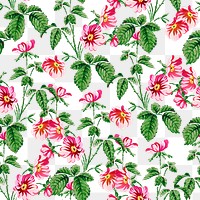 Png colorful wild rose botanical pattern transparent background