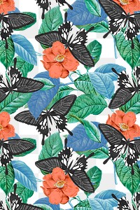 Vintage butterfly png floral pattern, remix from The Naturalist&#39;s Miscellany by George Shaw