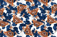 Abstract butterfly png floral pattern, vintage remix from The Naturalist's Miscellany by George Shaw