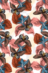 Butterfly floral abstract background png with design space, remix from The Naturalist&#39;s Miscellany by George Shaw