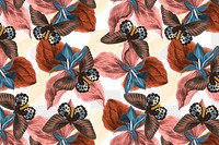 Butterfly floral abstract background png with design space, remix from The Naturalist&#39;s Miscellany by George Shaw