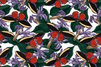 Abstract butterfly floral background png with blank space, remix from The Naturalist's Miscellany by George Shaw