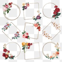 Botanical colorful decorated frame png watercolor illustration set