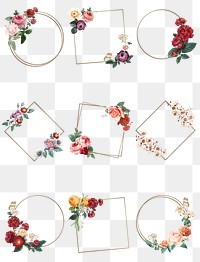 Luxury summer roses png gold frame watercolor illustration collection