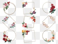 Luxury summer roses gold png frame watercolor illustration collection