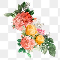Colorful French roses png bouquet hand drawn vintage illustration