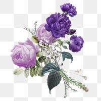 Purple roses bouquet png hand drawn vintage illustration