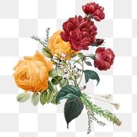 Vintage png yellow red roses bouquet hand drawn illustration