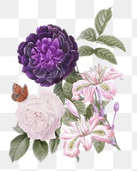 Vintage purple png guerin&#39;s rose flowers bouquet illustration