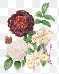 Vintage red png guerin's rose flowers bouquet illustration