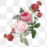 Elegant png pink roses flowers bouquet illustration