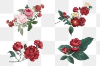 Luxury Valentine's red roses png watercolor illustration set