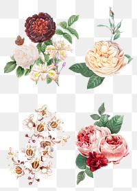 Floral flowers bouquet png colorful watercolor illustration set