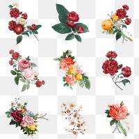 Elegant colorful spring roses png hand drawn illustration set