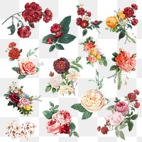 Luxury vintage flowers png colorful watercolor sticker set