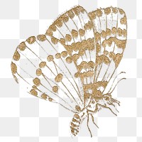 Glittery gold butterfly png animal sticker