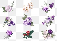 Botanical purple flowers png watercolor hand drawn collection