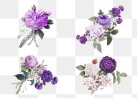 Elegant flower purple roses png watercolor illustration set