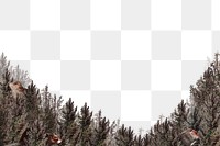 Forest pattern border png transparent background