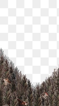 Forest pattern border png transparent background