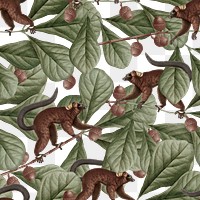 Lemur seamless pattern png transparent background