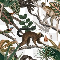 Lemur seamless pattern png transparent background  in the jungle