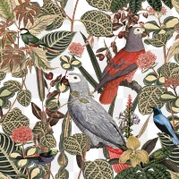 Birds seamless pattern png transparent background  in the jungle