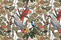 Jungle bird png pattern background vintage animal illustration