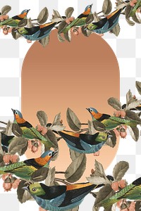 Bird pattern border png gold frame transparent background