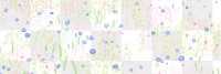 Sketched png summer flower pattern transparent background