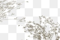 PNG floral branches shadow design element