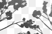 PNG cotton branch shadow design element