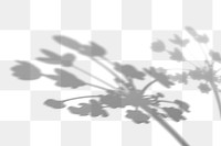 PNG floral branch shadow design element