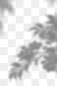 PNG tree shadow design element