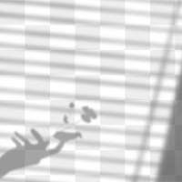 PNG flower in hand with window blinds shadow