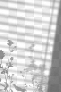 PNG floral field with window blinds shadow