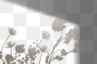PNG flower field shadow design element