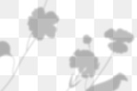 PNG cute flower shadow design element