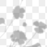PNG cute flower shadow design element